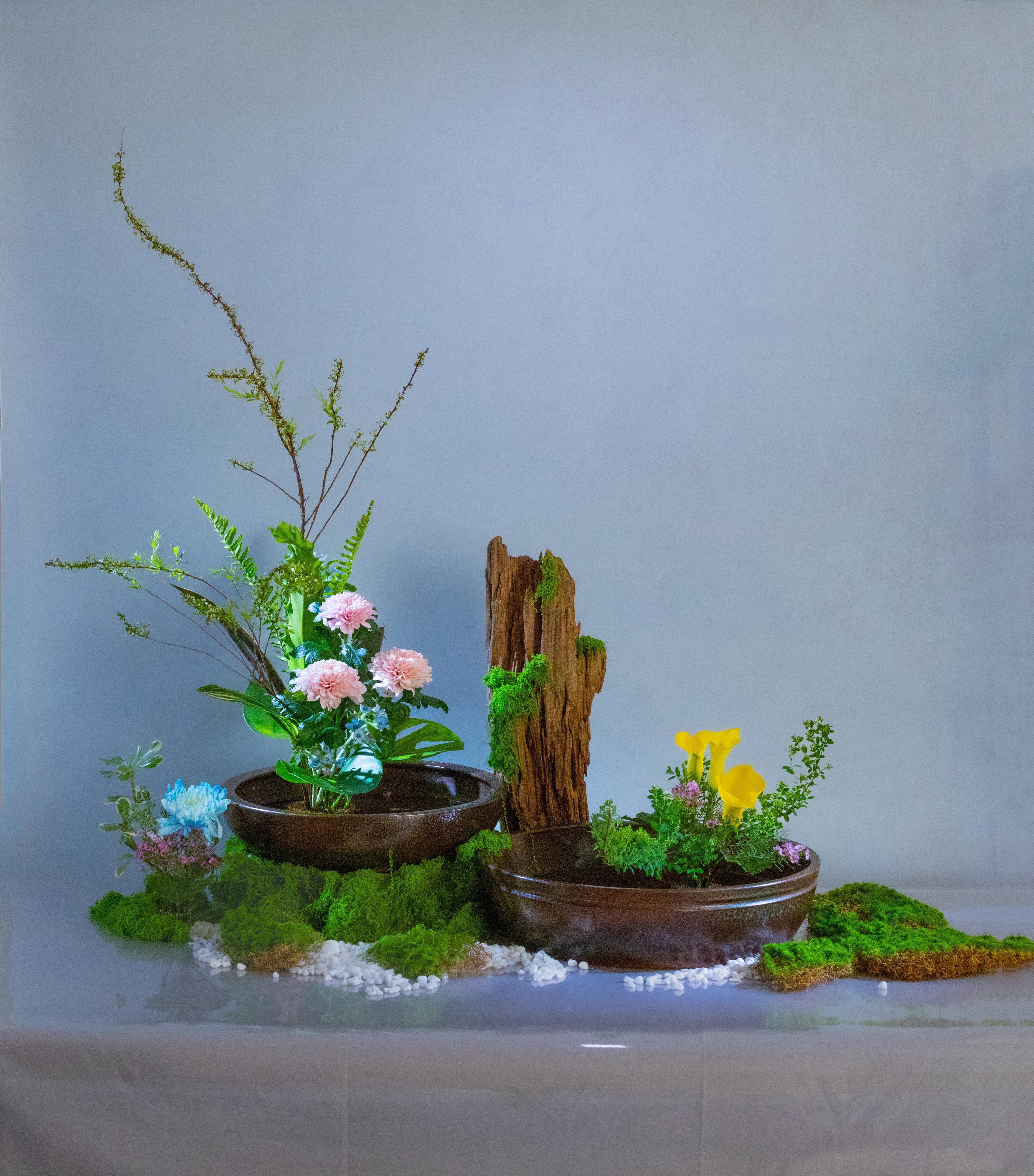 Gallery Image 20